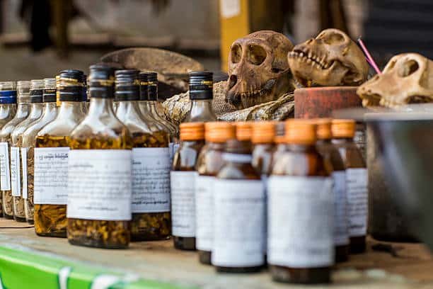 Monkey skulls on a table together with magic elixer medication, witchcraft.